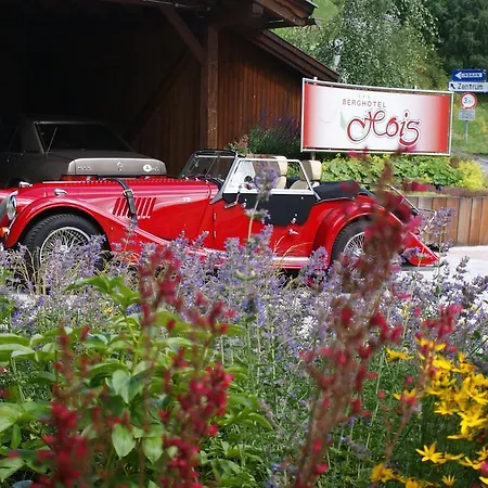Berghotel Hois 3*