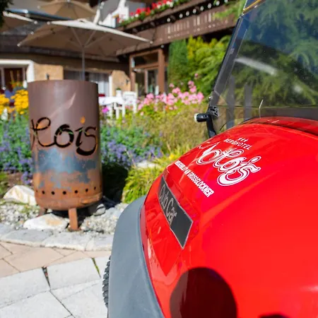 Hotel Berghotel Hois 3*