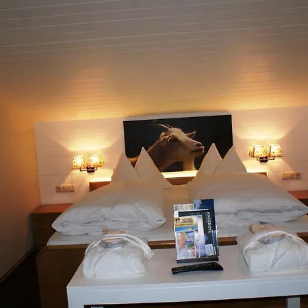 Hotel Berghotel Hois