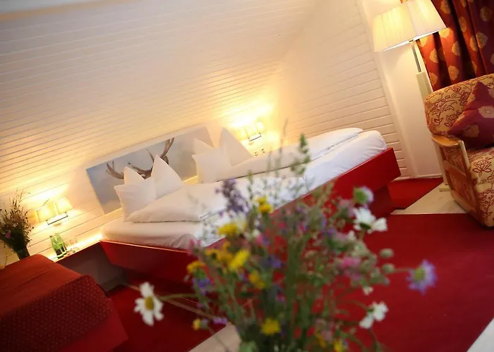 Berghotel Hois 3*