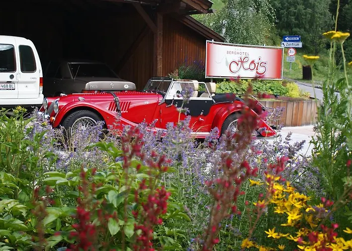 Berghotel Hois 3*