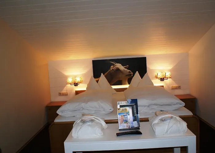 Hotel Berghotel Hois